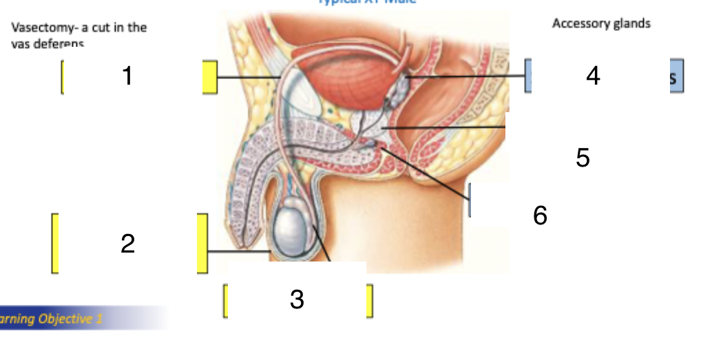 <p>what is 2</p>
