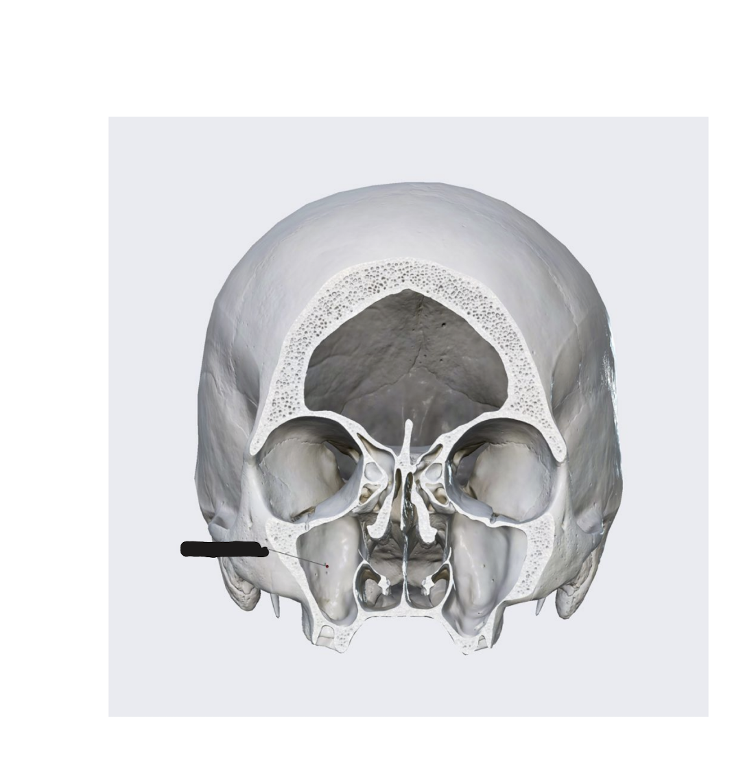 <p>What feature is this? </p>