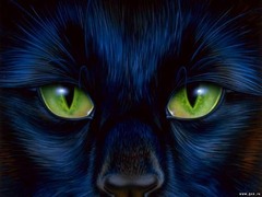 <p>look, glance</p>