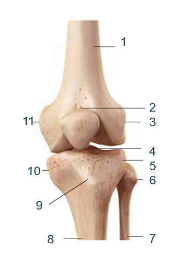 <p>11?</p>