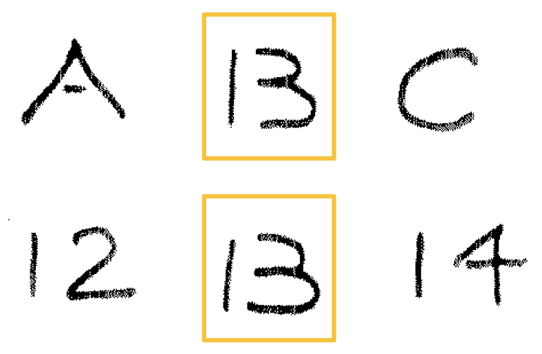 <p>Context-Dependent Perception</p>