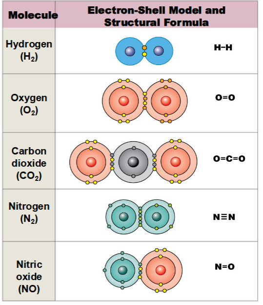 <p>Covalent bond</p>