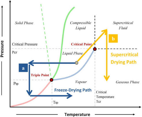 <p>In the process of freeze drying, ice goes directly into water vapor. What is the temperature at which this process can take place?</p><p>A. At the triple point of water (Wrong):</p><p>The triple point represents the exact condition where solid, liquid, and vapor phases coexist in thermodynamic equilibrium. While sublimation can technically happen at this specific boundary line, practical freeze-drying must be carried out entirely below this point to prevent any localized transition into liquid.</p><p>B. Below the triple point of water (Correct):</p><p>Sublimation, which is the transition of a substance directly from a solid to a gaseous state, can only occur when both the temperature and the surrounding vapor pressure are maintained below the triple point of water. This ensures that the frozen moisture bypasses the liquid phase entirely, preserving the structural integrity of the material.</p><p>C. Any of the other choices, depending on the pressure (Wrong):</p><p>Sublimation is restricted by phase equilibrium boundaries. If the pressure or temperature rises above the triple point thresholds, the ice will inevitably melt into liquid water instead of transforming directly into vapor.</p><p>D. Above the triple point of water (Wrong):</p><p>Operating above the triple point temperature allows the ice to melt into liquid water when thermal energy is introduced. This defeats the purpose of the lyophilization process, which relies strictly on keeping the moisture frozen until it turns to vapor.</p><p></p><p></p>