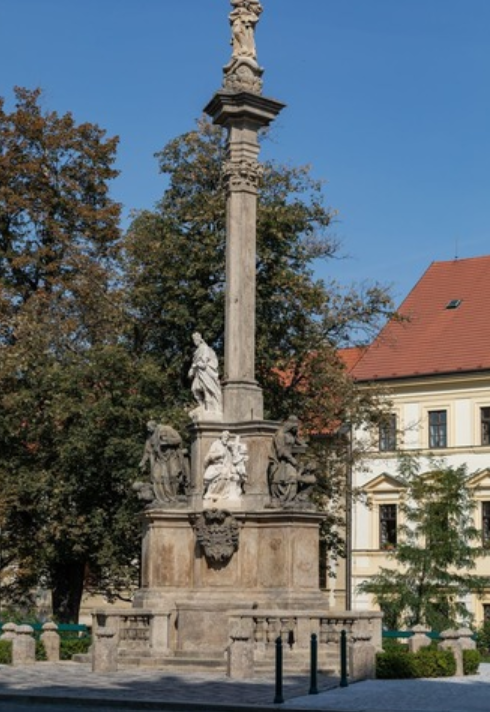 term image