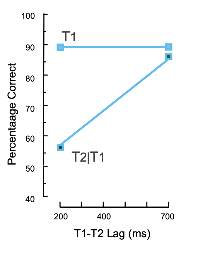 <p>When two targets (T1 and T2) are presented in rapid succession, the processing of T1 disrupts the processing of T2, so T2 is often missed if presented within 200-500 ms after T1</p>