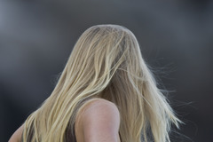 <p>blond</p>