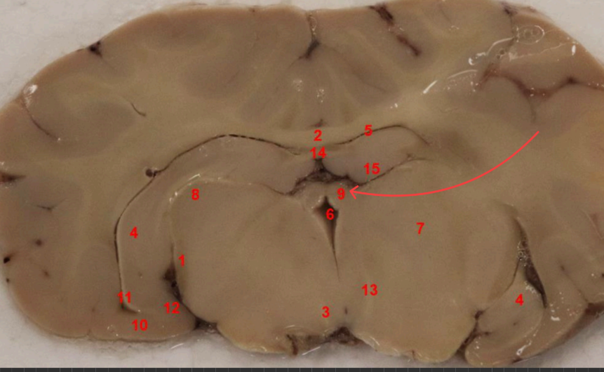 <p>what is this </p>