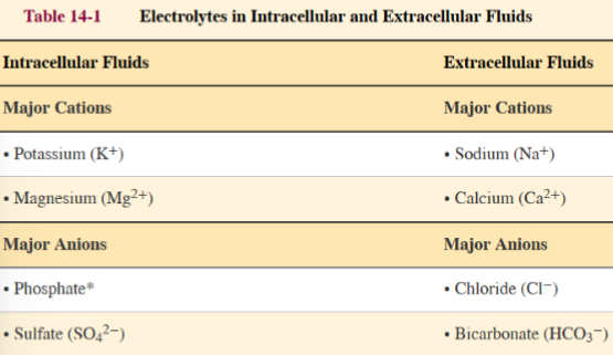 <p>sodium (Na+), Calcium (Ca<sup>2+</sup>), chloride (Cl-), bicarbonate (HCO3-)</p>