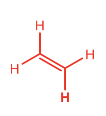 <p>C₂H₄ (Ethene)</p>