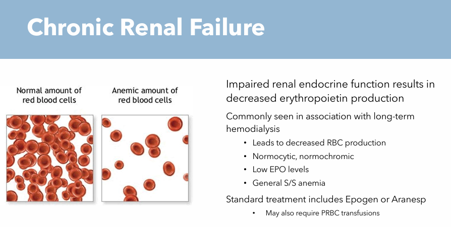 <p>Impaired renal endocrine function</p>