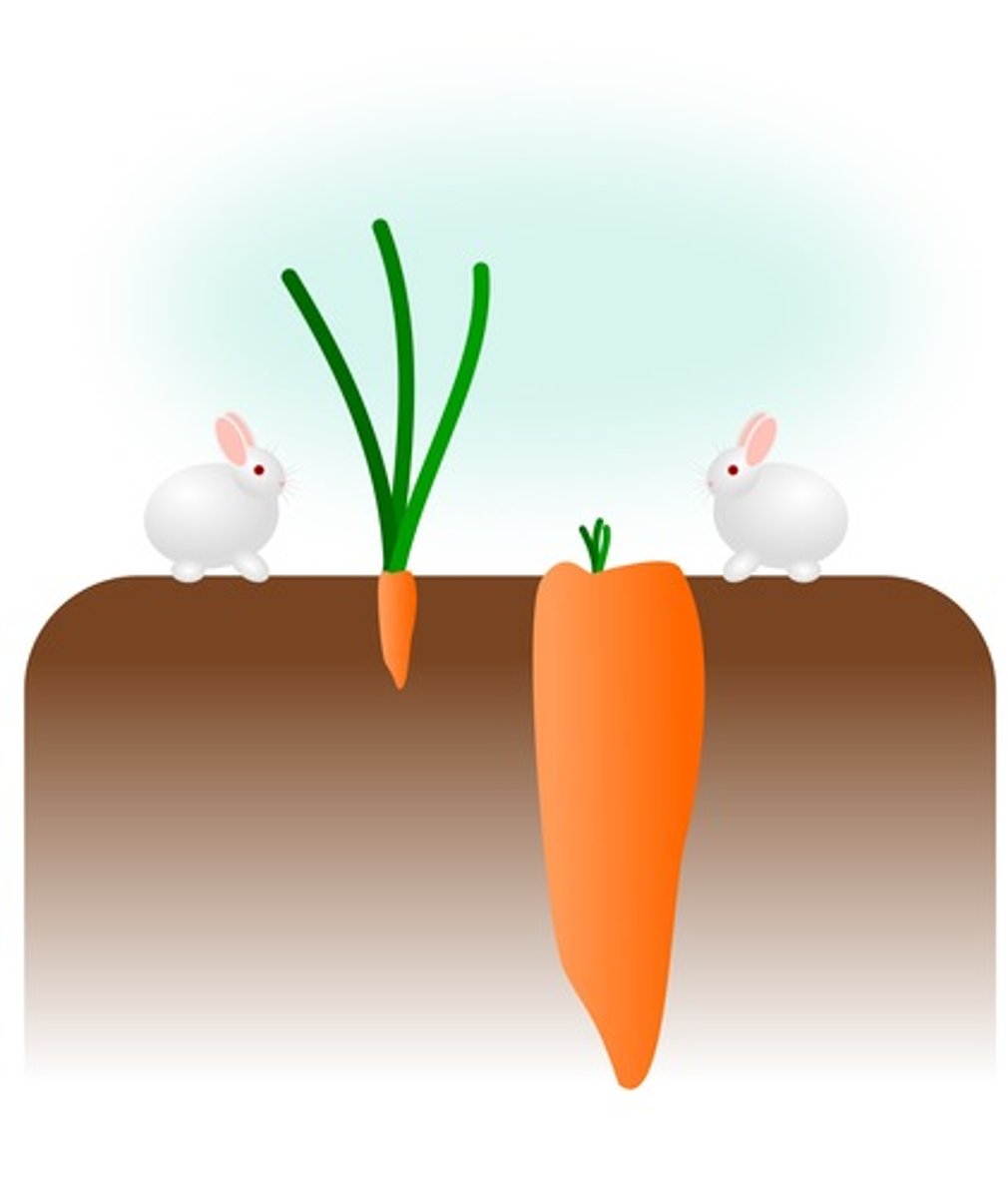 <p>to ask for a salary that is too low compared to your skills, experience, or the market rate</p>