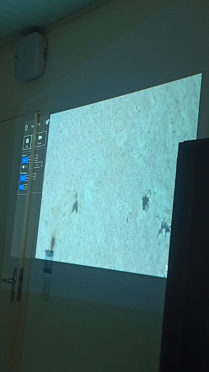 term image
