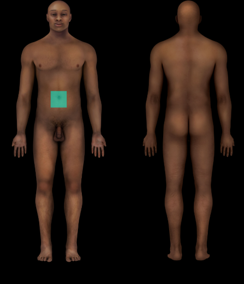 term image
