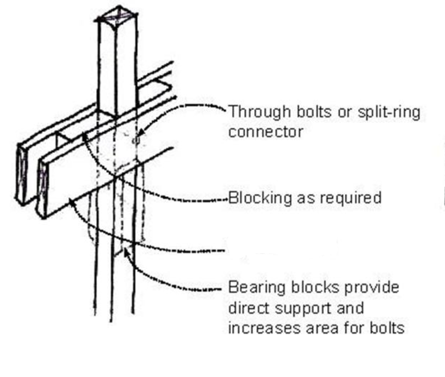 <p>Identify the arrow in the illustration.</p>