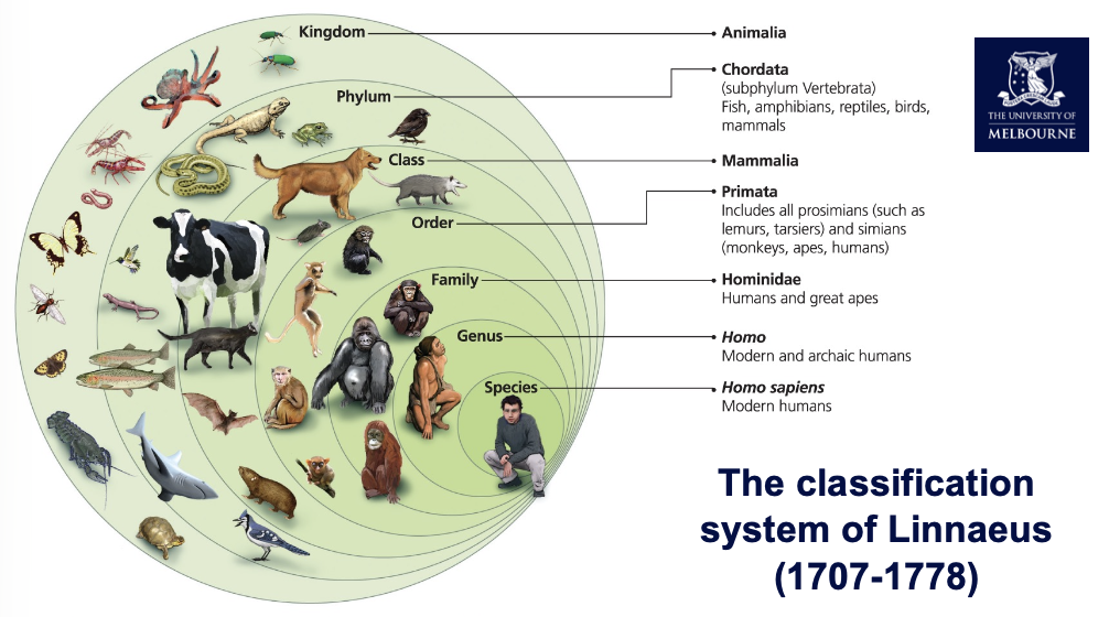 <p>based on morphology classification</p>