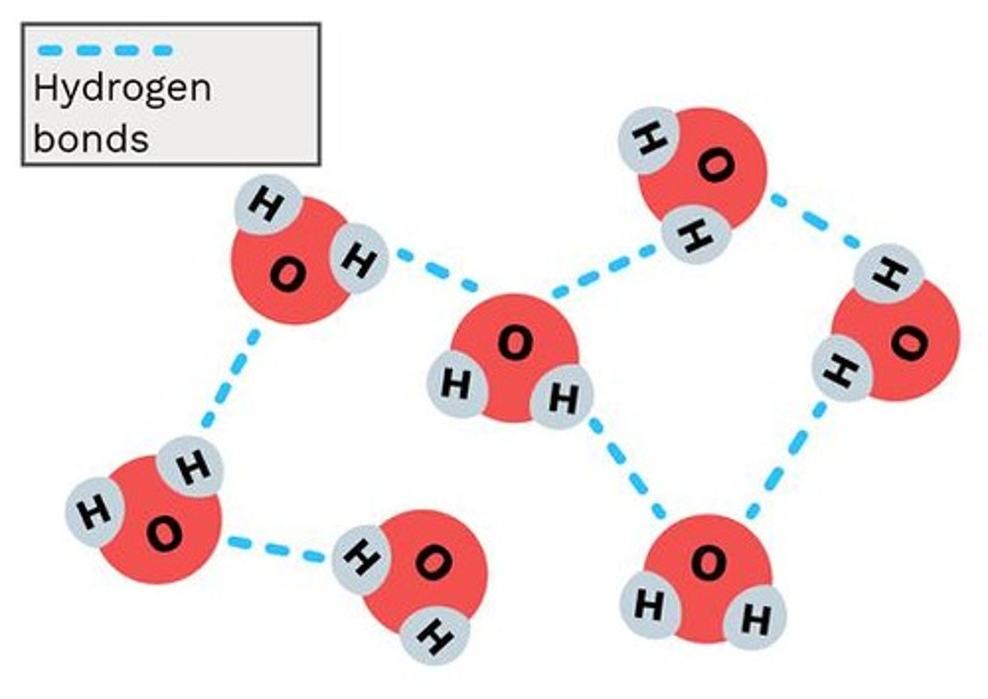 <p>A weak intermolecular force formed when a slightly positive hydrogen atom in one polar molecule is attracted to a slightly negative atom in another polar molecule.</p>