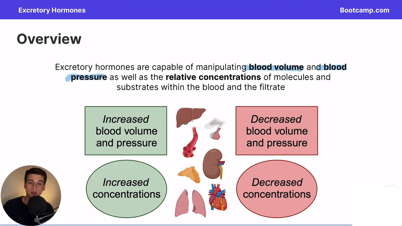 <p>How can excretory hormones affect blood/filtrate?</p>