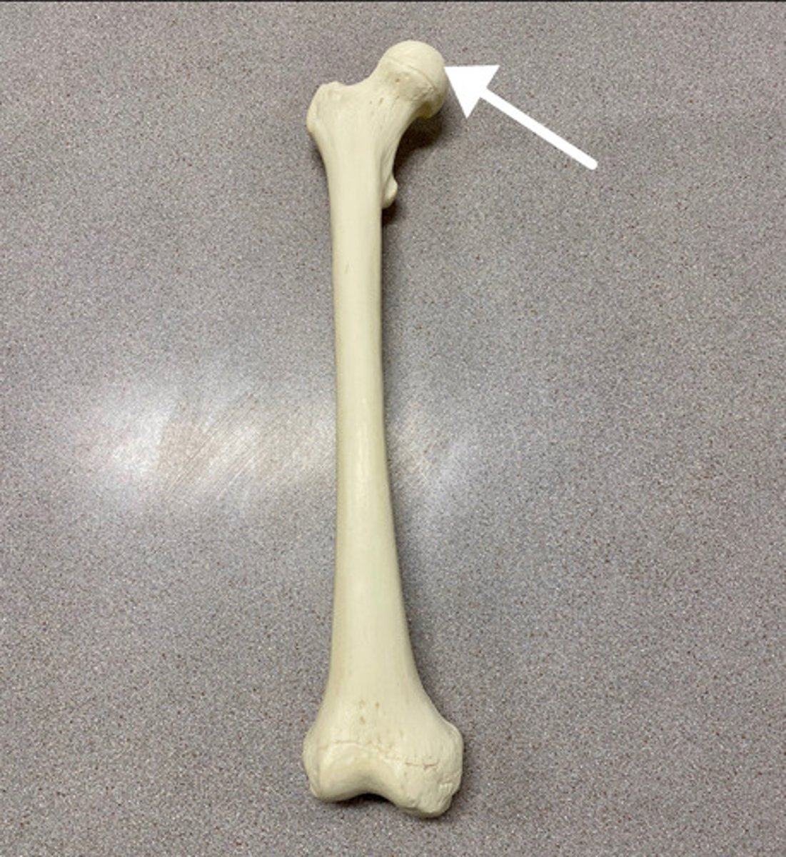 <p>What is this?</p>