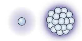 <p>Why multicellularity? (1/10)</p><p>Improved extracellular …</p>