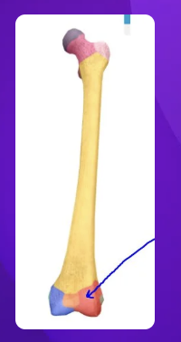 <p>what landmark is indicated by the arrow in the image?</p>