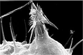 <p>What is this?</p>