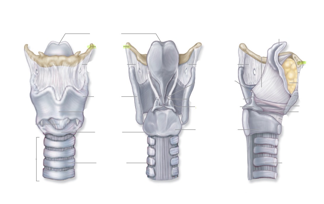 <p>what is this </p>