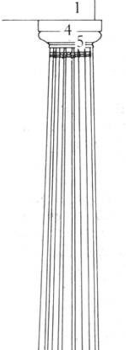 <p>Type of capital</p>