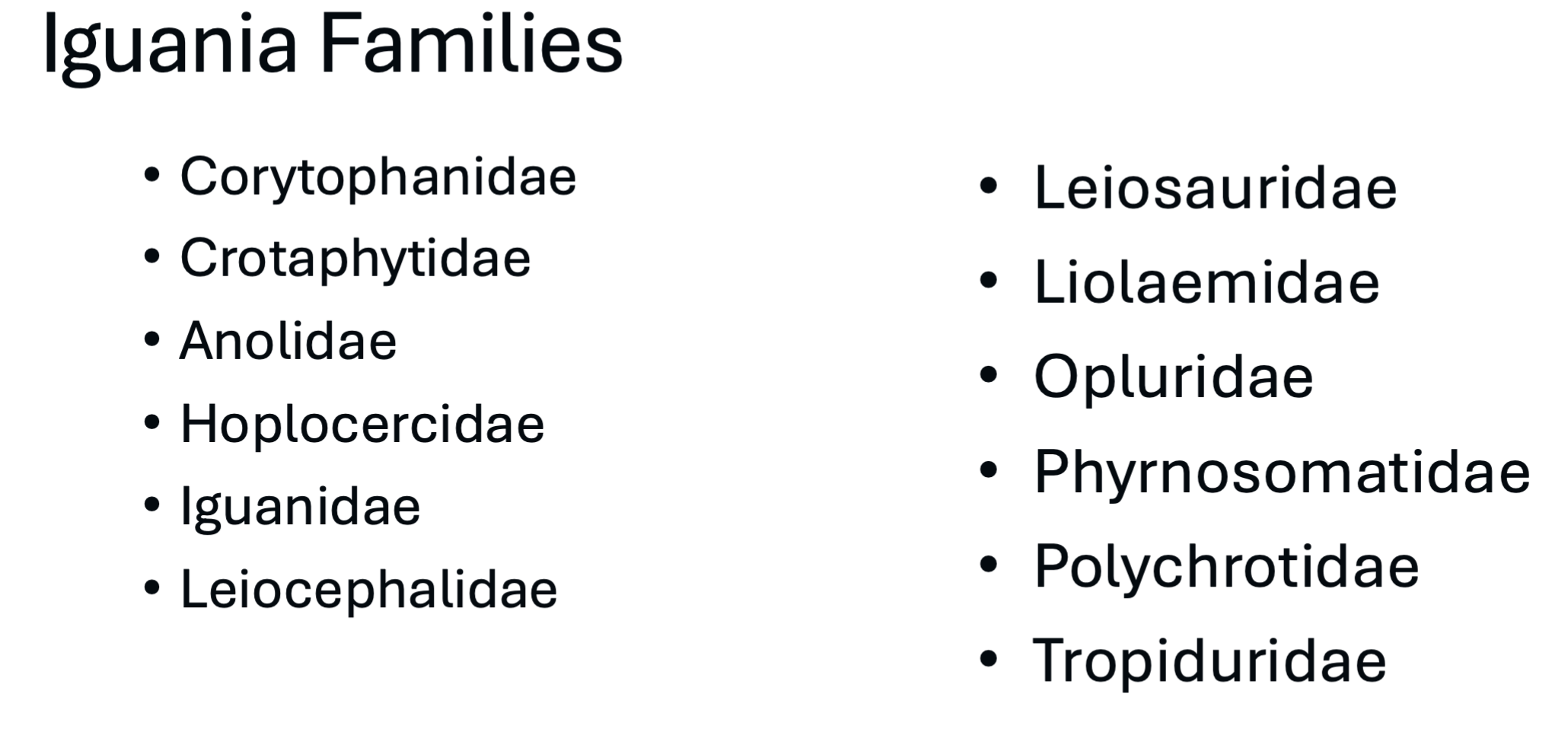 <p>sometimes recognized as a single family (Iguanidae); usually split into 12 families</p><p>Dominant group of lizards in the New World</p><p>All diurnal</p><p>mostly oviparous</p><p>mostly carnivorous</p>