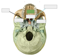 <p>This is the</p>