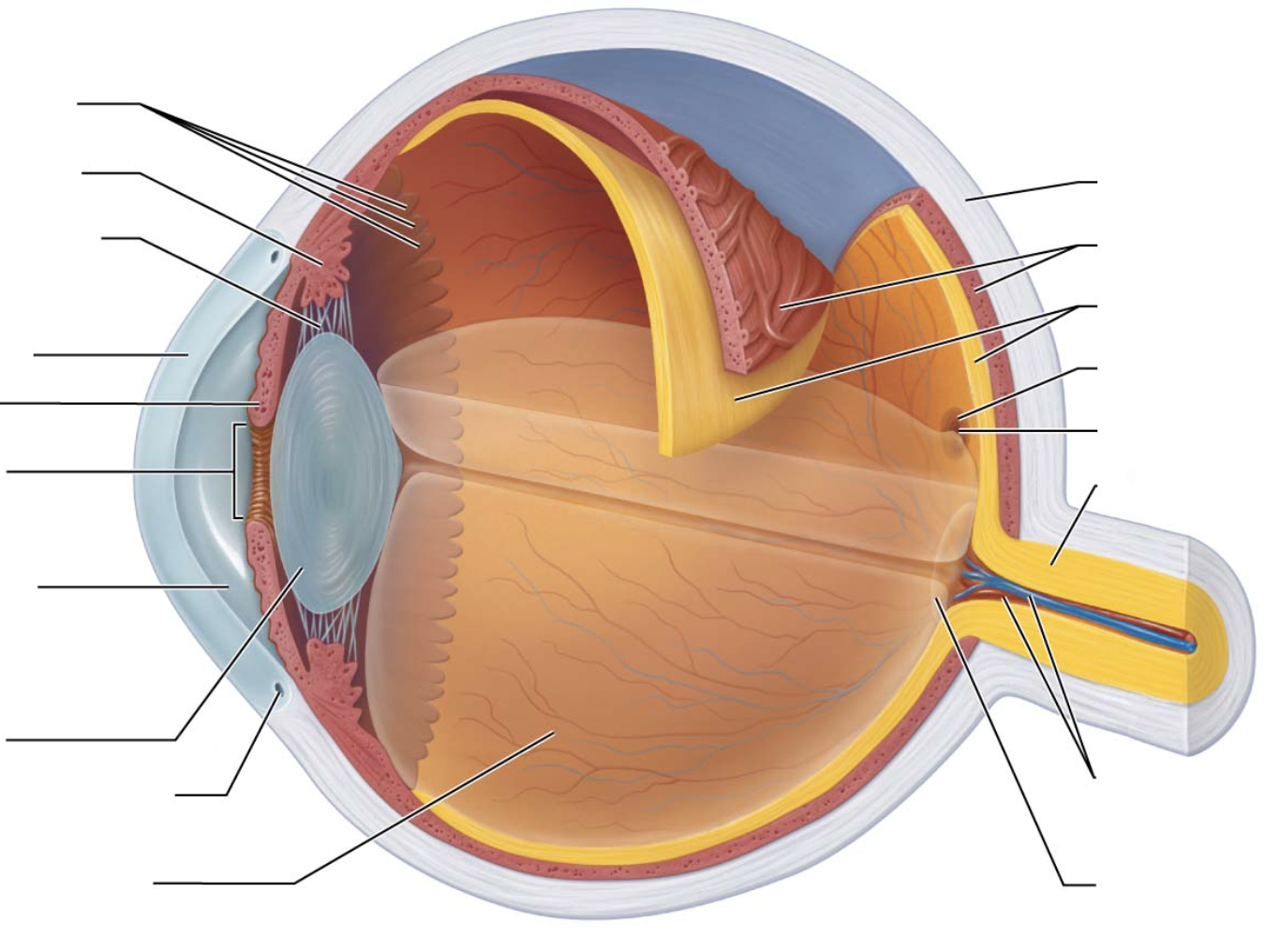 <p>bottom arrow on left</p>