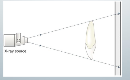 <p>-describe the effect of the x-ray source and the relative position of the object and image receptor on image clarity, magnification, and distortion</p><p>-used to maximize image clarity, minimize distortion, and localize objects in the image field</p><p>-involves the distance between 3 items: x-ray source, the object (teeth), and the image receptor</p><p>-key concept: x-rays travel in straight lines and have divergent paths</p>