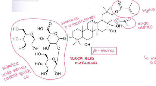 <ul><li><p>extraídos das sementes (boas repelentes de insetos) do castanheiro da india</p></li><li><p>anti edimatoso usado no tratamento de ulceras e da mucosa bocal</p></li><li><p>a beta escigenina tem menor ação farmacológica mas se a pessoa estiver mais fragilizada o médico pode indicar esta</p></li></ul><p></p>