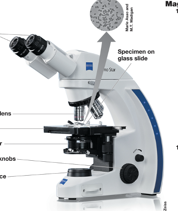 <p>Label from top to bottom, left to right. Kind of microscope? </p>