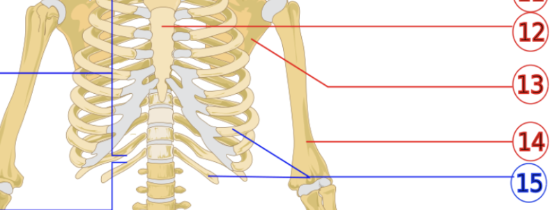 <p>15</p>
