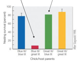 <p>what does this graph show?</p>