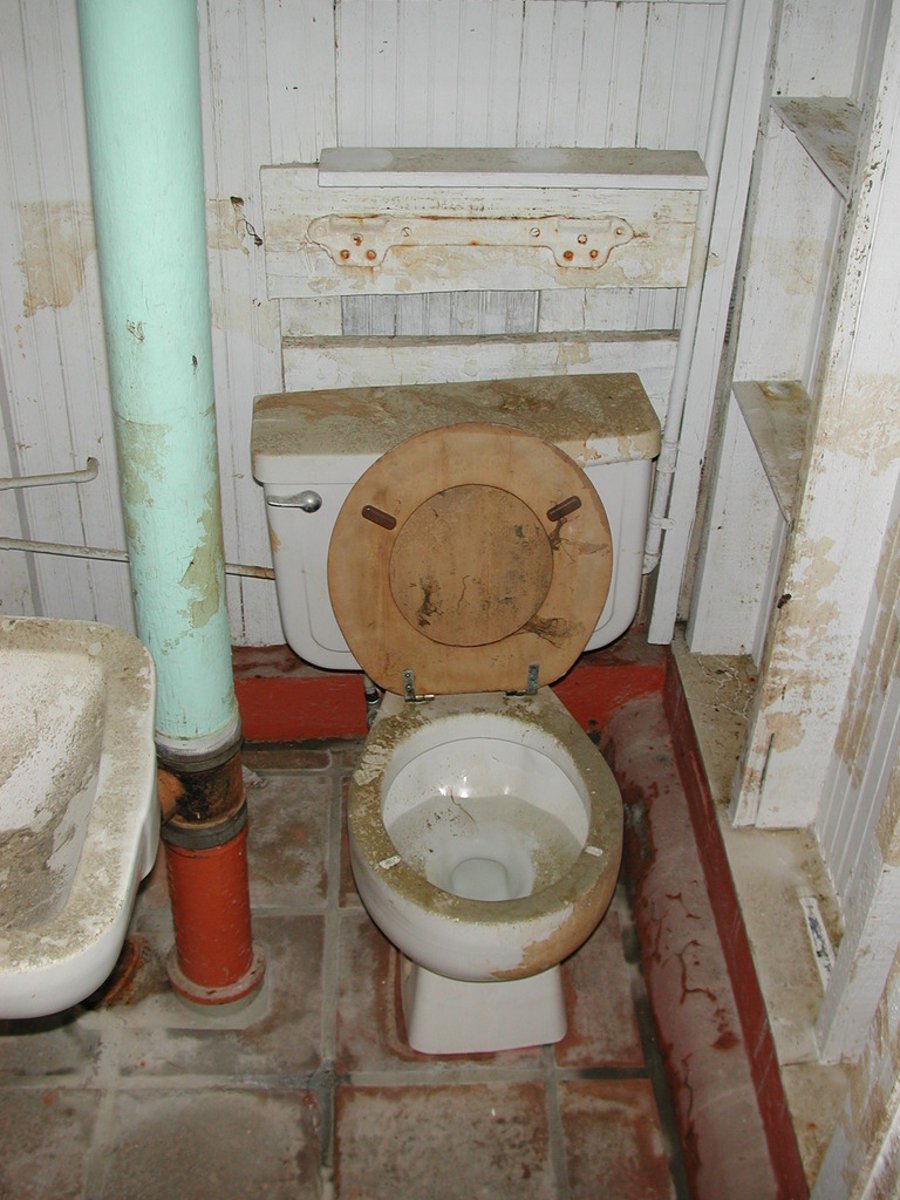 <p>disgusting</p>