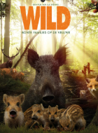 <p>wild</p>