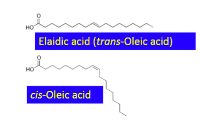 <ul><li><p>straight or kinked structure</p></li><li><p>structure affects packing thus melting the T of TAGs</p></li></ul><p></p>