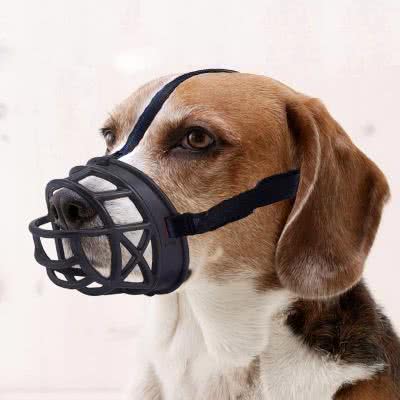 <p>Muzzle </p>