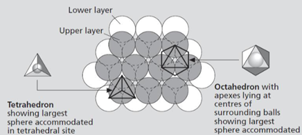 <ul><li><p>Tetrahedral coordination (4 anions)</p></li><li><p>Octahedral coordination (6 anions)</p></li></ul><p></p>
