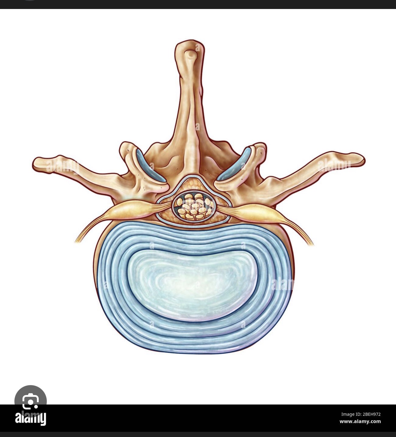 <p>what is this?</p>