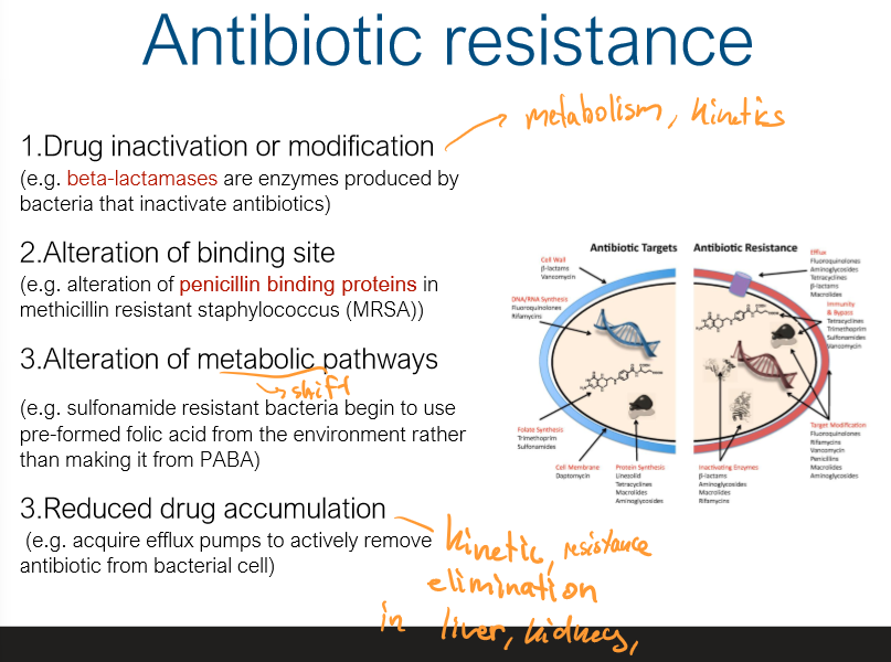 <p>bacteria make beta lactamases that stop antibiotics</p><p>alter metabolism to use preform folic acid instead</p><p>create efflux pumps to remove antibiotic from bacteria</p>