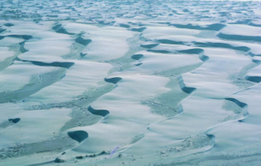 <p>What kind of dune is this?</p>