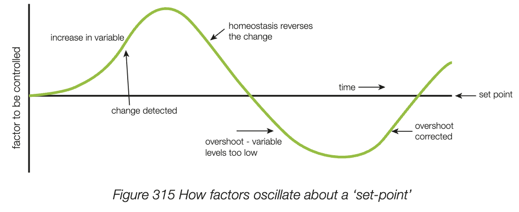 <ul><li><p>variable in internal environment oscillates around set-point in practice</p></li><li><p>factors in environment cause inc or dec in variables and homeostatic responses work in the opposite way to reverse changes</p></li></ul><p></p>