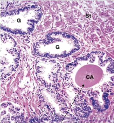 <p>What is the arrow pointing at?</p>