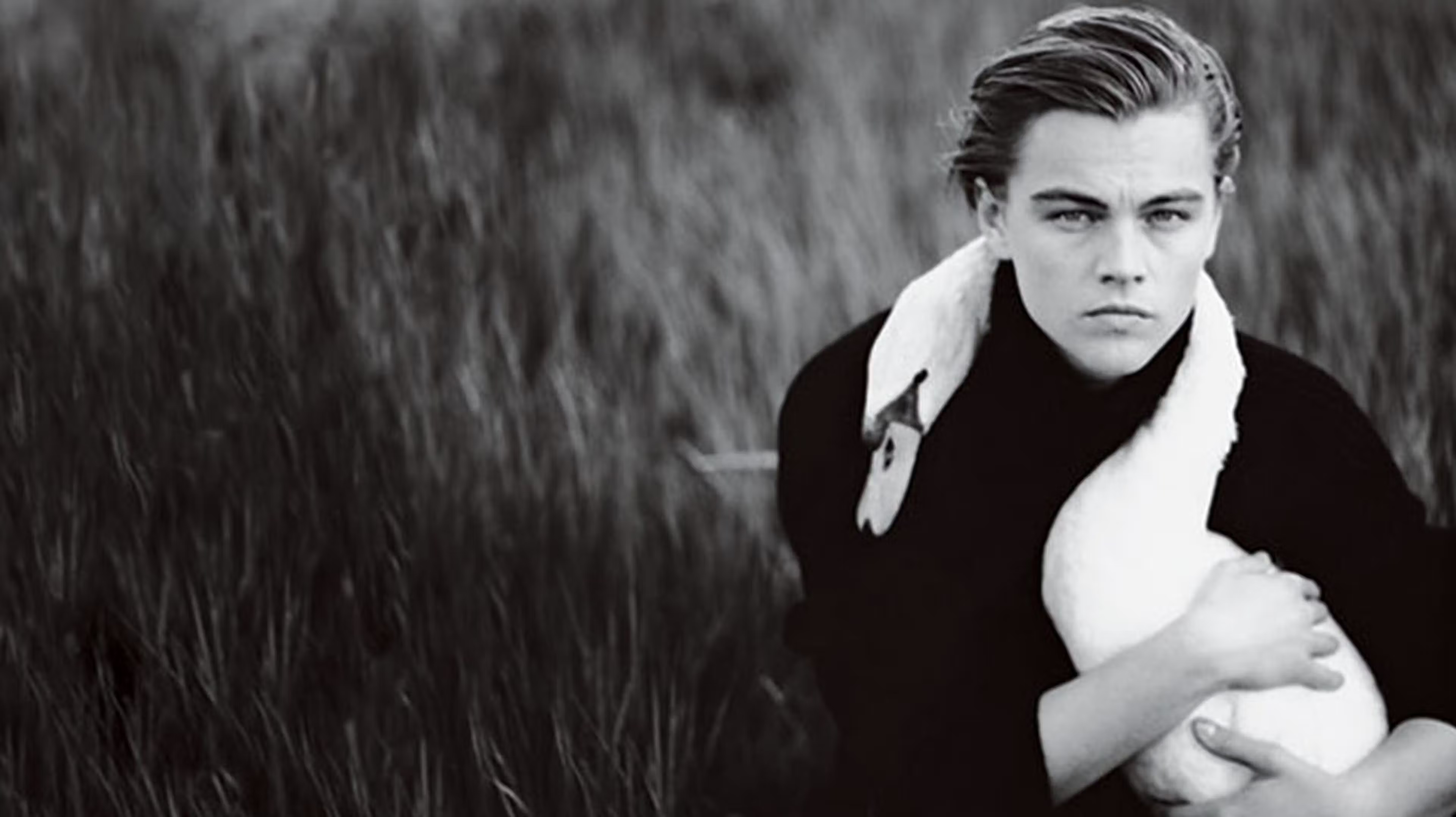 <p><span>Recognize Leibovitz by her </span><strong>cinematic, painterly, and high-concept</strong><span> staging. Her portraits blend </span><strong>dramatic multi-source lighting</strong><span> with symbolic storytelling. Look for subjects in </span><strong>unconventional, intimate poses</strong><span> or elaborate, theatrical environments that feel "larger-than-life." Her images often feature a </span><strong>rich, moody color palette</strong><span> and a distinct </span><strong>depth of character</strong><span>.</span></p>