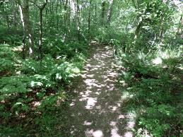 <p>a dappled pattern of light as if it had passed through a stained-glass window</p>