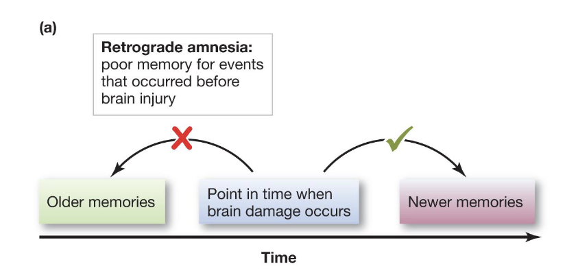 <p>Poor memory for events that occurred BEFORE brain injury </p>