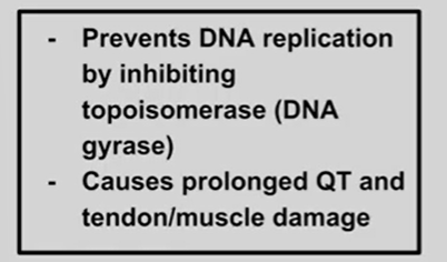 <p>-floxacin ending</p>