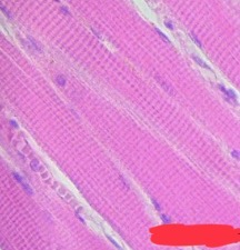 <p>?</p>